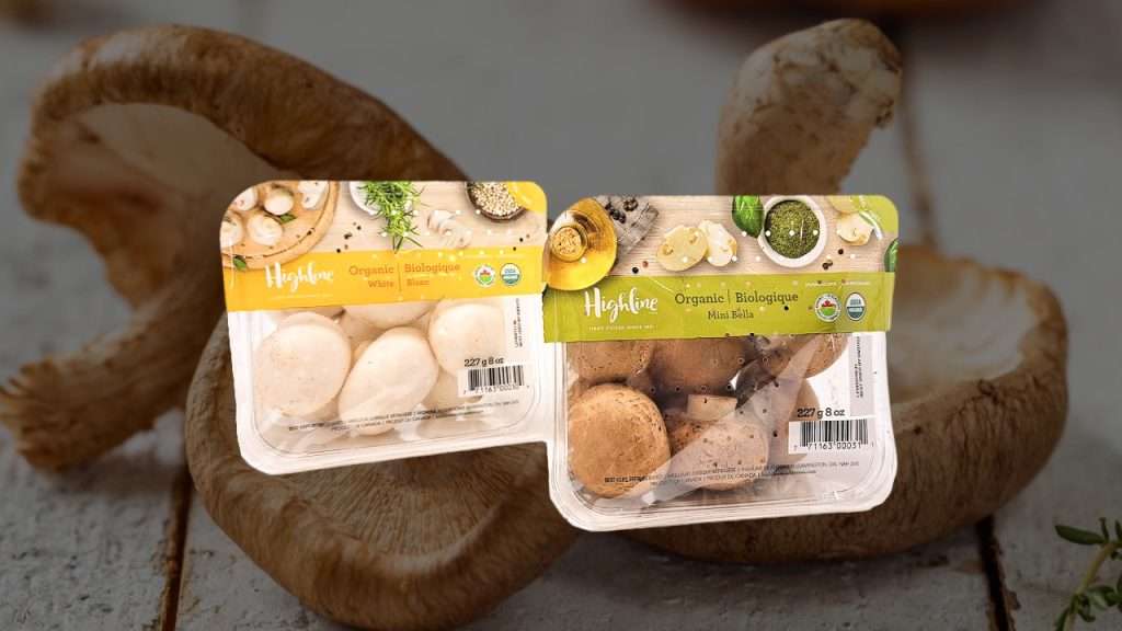 Highline Mushrooms in new rPET plastic tills