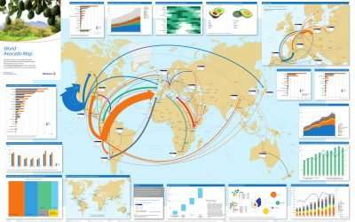 World Avocado Map 2023: Global Growth Far From Over