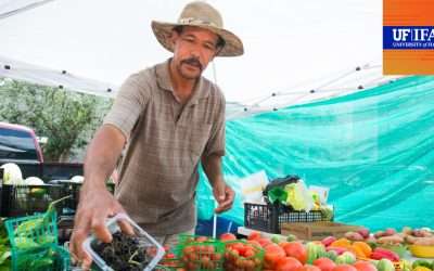 UF/IFAS Extension Entrepreneurship Program Grows New Florida Farmers