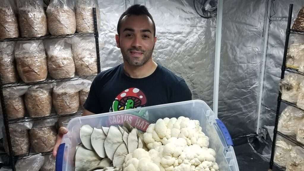 Joe holding large container of assorted mushrooms.