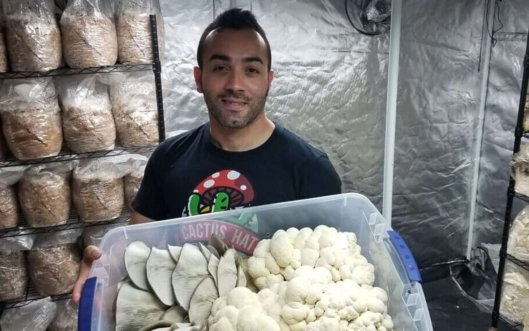 Season 1, Episode 4 Behind-The-Scenes: A Mushrooming Business From Home