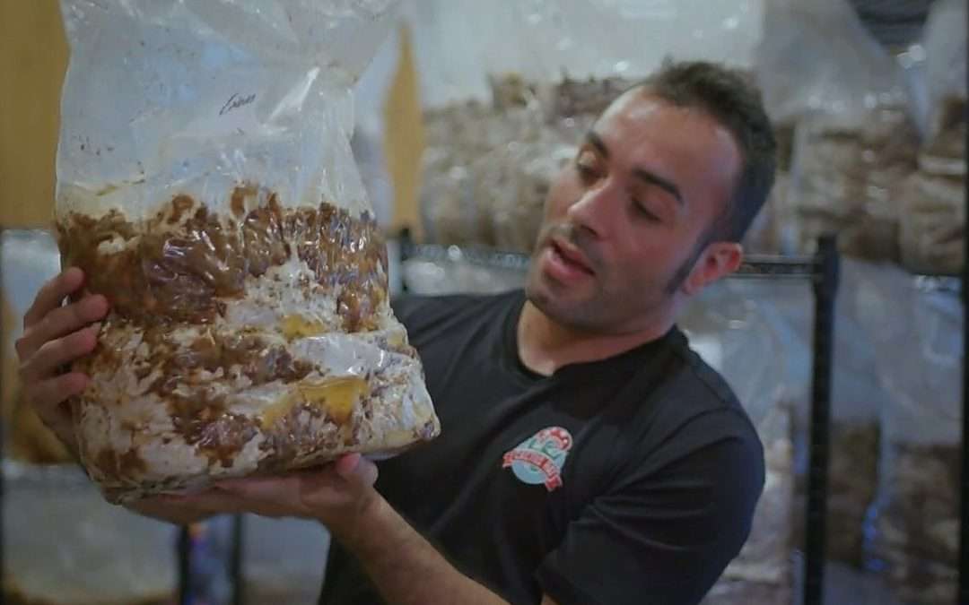 Tampa Firefighter’s Garage Farm Biz Is Mushrooming; Story Comes To National TV