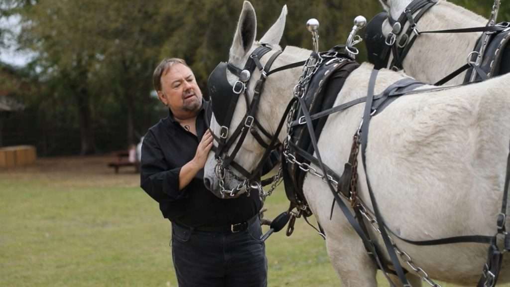 Chips talking to a mule