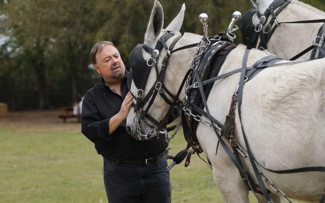 Season 2, Episode 3 Bonus Scene: Yaaaaaaah Mule!