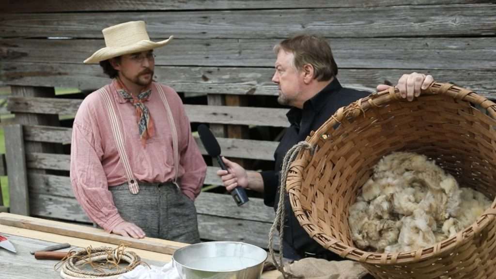 Chip holding basket of sheep wool