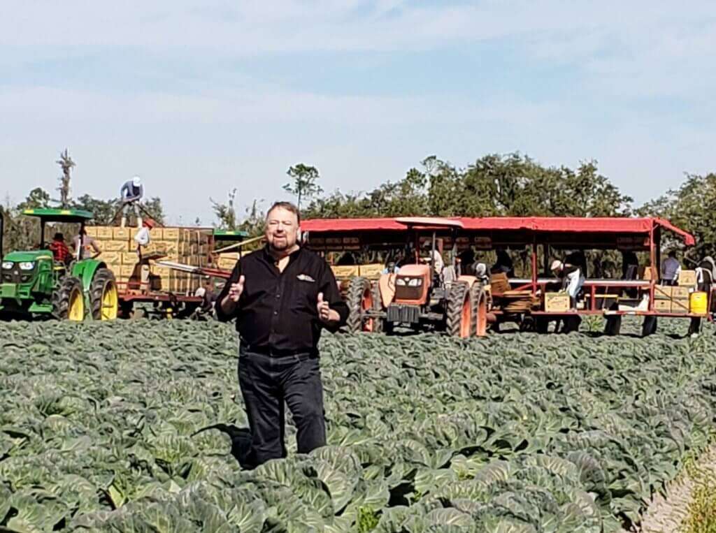 Chip in cabbage field with workers and equipment hard at work.