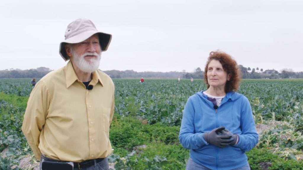 Gleaners in the field