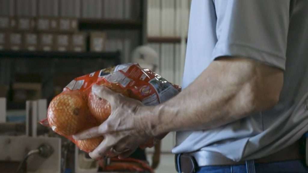 Man holding bag of Realsweet Vidalia onions