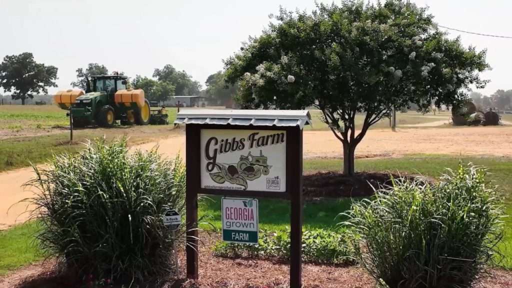 Gibs Farm sign at entrance of farm.