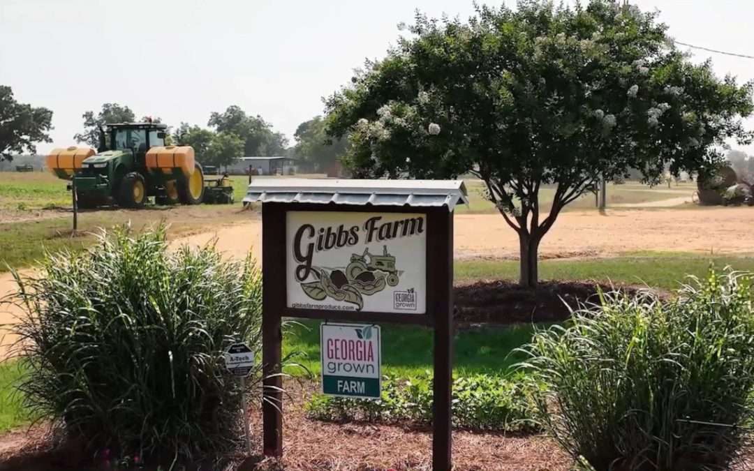 Meet The Gibbs Kids: A Real Georgia Family Farm Story Comes To TV