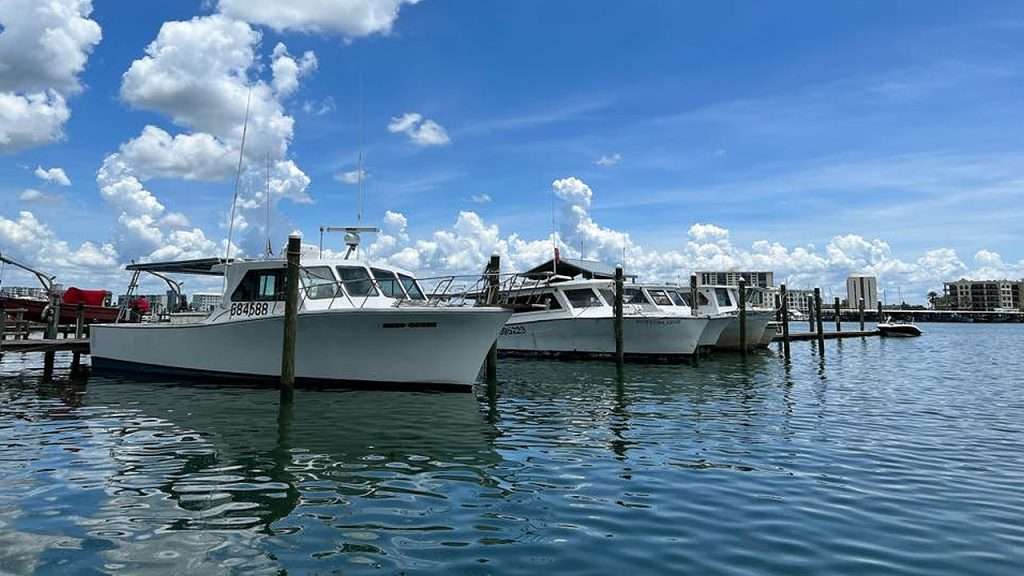 Frenchy's fishing fleet docked