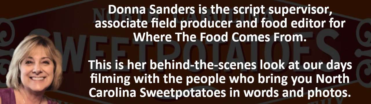 Donna Sanders headshot and byline.