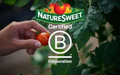 NatureSweet® Becomes World’s Largest Controlled Environment Agriculture Company To Achieve B Corp Certification