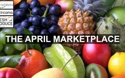 Consumers Ramp Up Fruit Purchases In Light Of More Favorable Prices