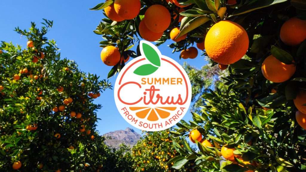 Summer Citrus from South Africa logo in citrus tree.