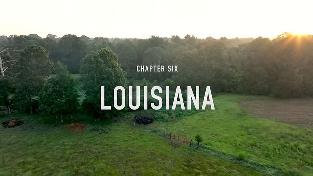 Chapter Six: Louisiana banner.