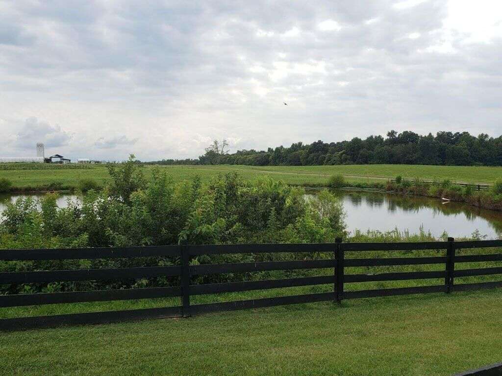 Small lake on Fresh Fruits Farm