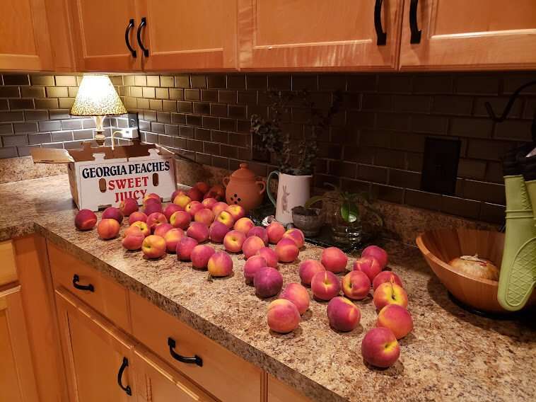 Lane Southern Orchards peachs sprawled on kitchen counter of WTFCF's Donna Sanders.