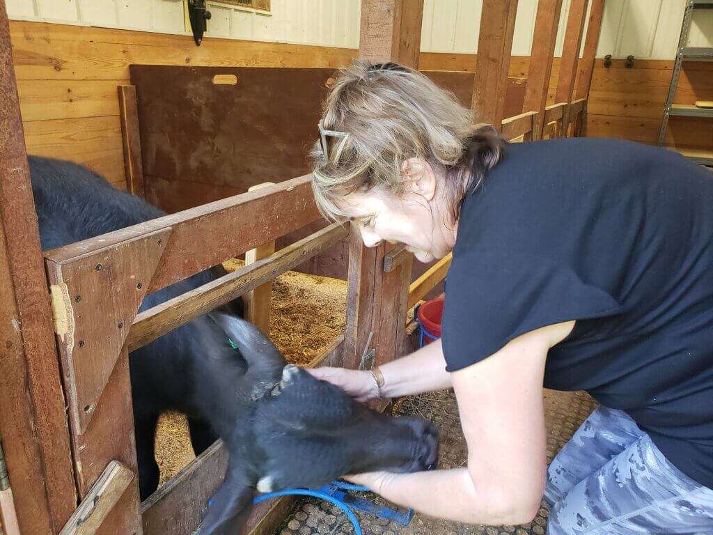 Donna befriending a water buffalo calf named Masie