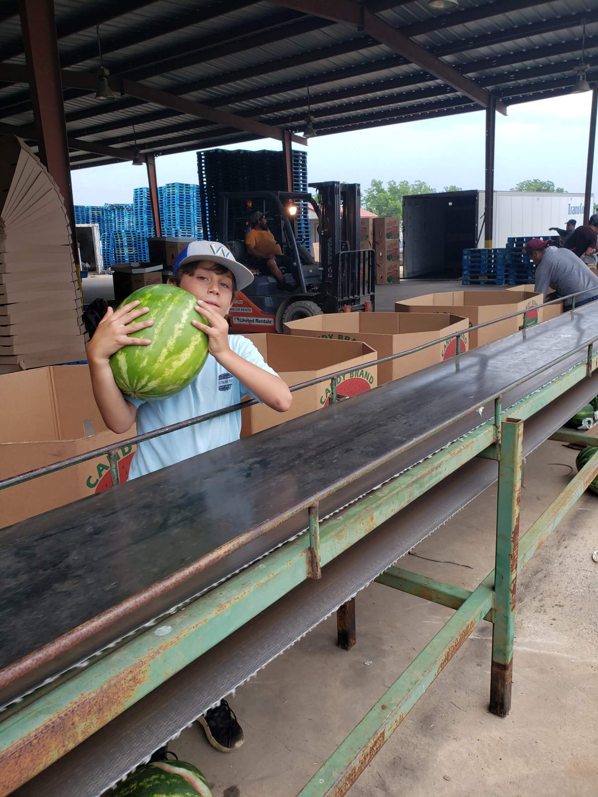 Cotton Gibbs grabs a second watermelon off the line