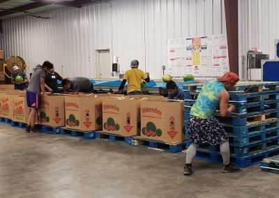 Workers load watermelon boxes.