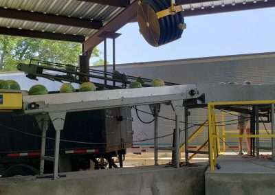 Watermelons on conveyor system.