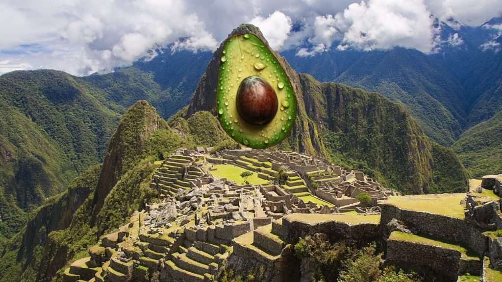 Avacado in mountain of Machu Picchu.