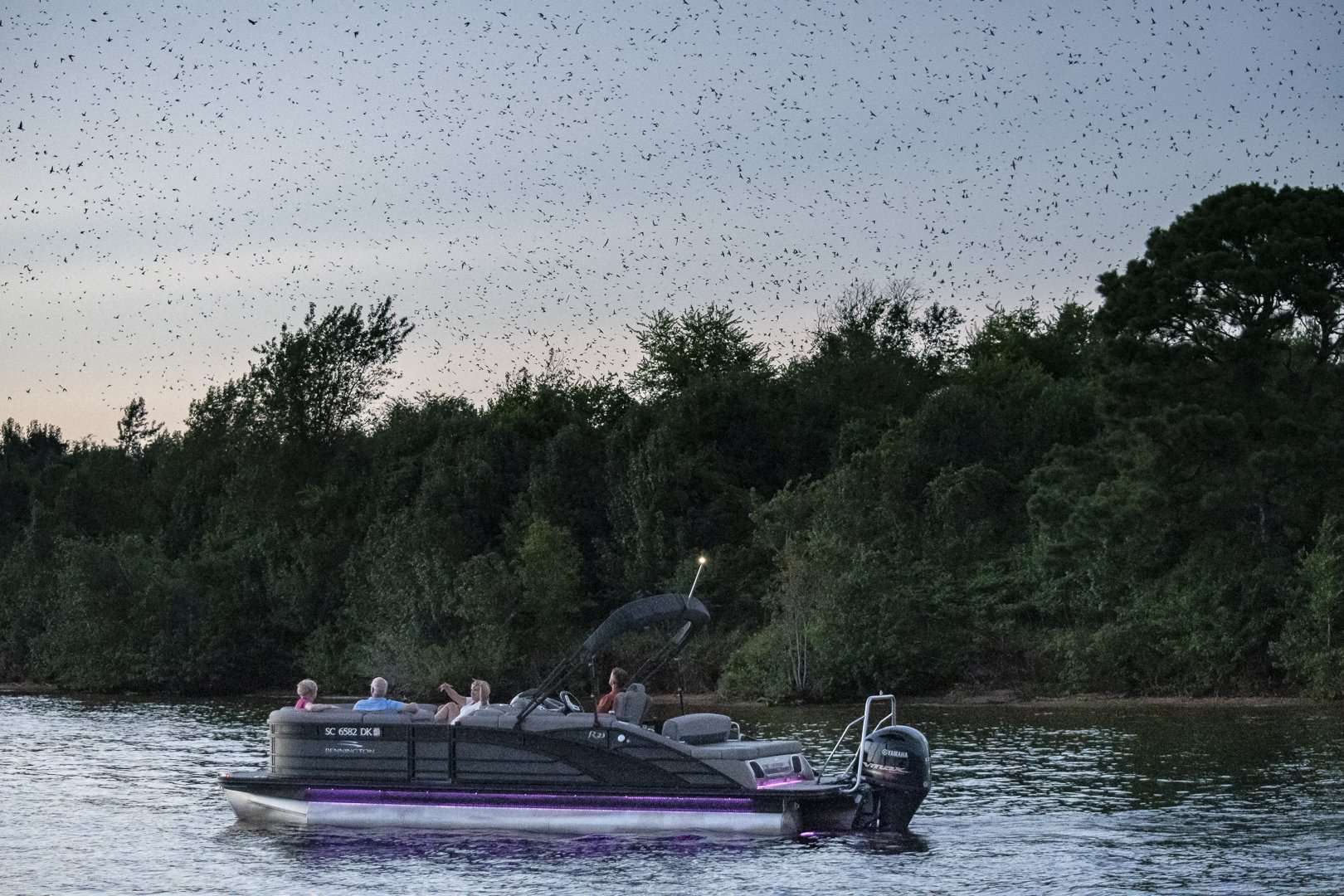 Purple Martin bird watchers on pontoon boat.