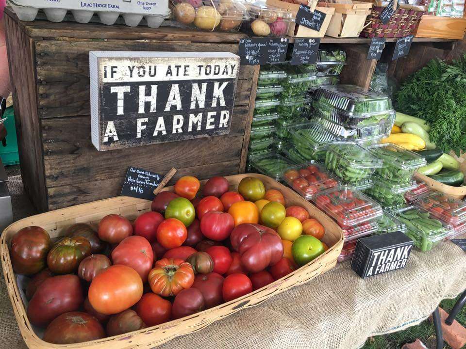 Assorted tomatoes on display at a farmers market. 