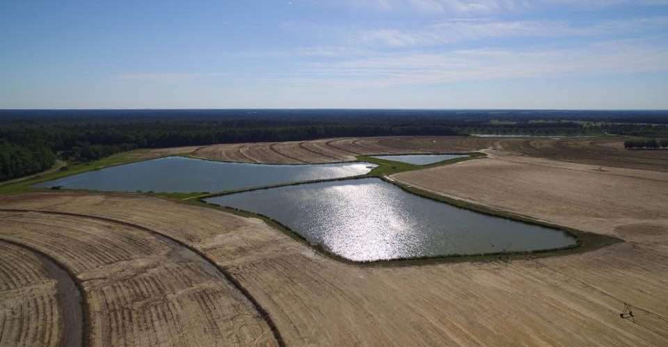 Ariel view of Vidalia onion field.