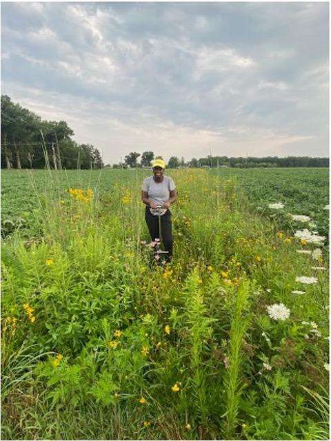 Professor Christine Sprunger in Prairie