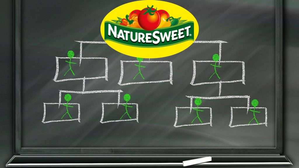 NatureSweet logo at top of a hierarchy.