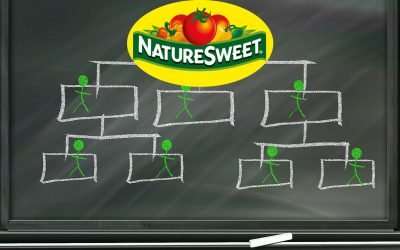 Exponential Growth At NatureSweet® Leads To Organizational Restructure