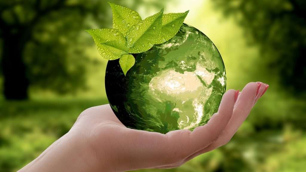 Green earth cradled in a hand.