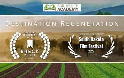 ‘Destination Regeneration’ Selected For Prestigious Film Festivals