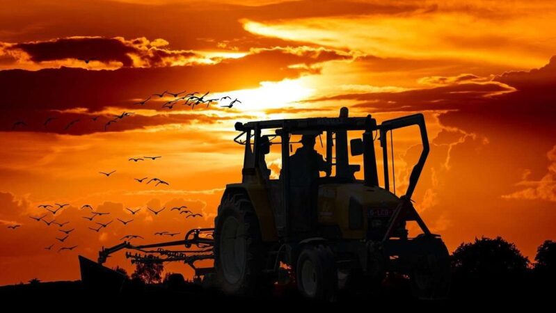 Farmer driving tractor at sunset.