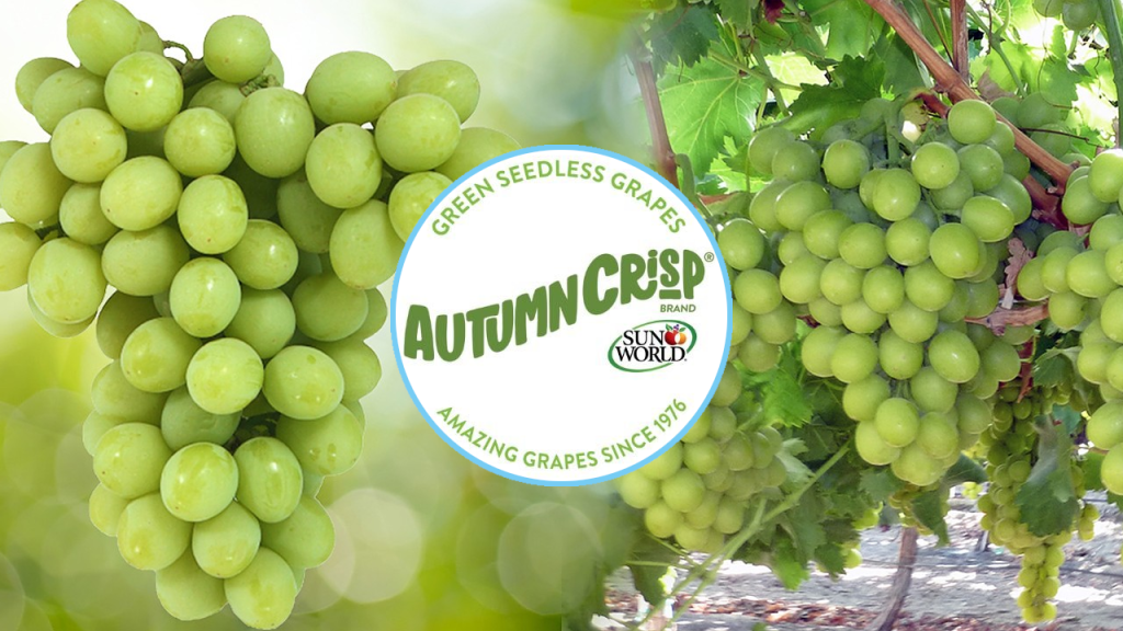 Sun World AUTUMNCRISP® grapes and logo