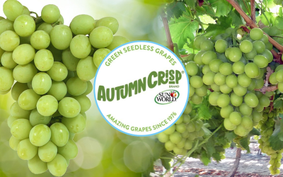 Sun World Announces Launch Of First Global Branded Grape Marketing Campaign