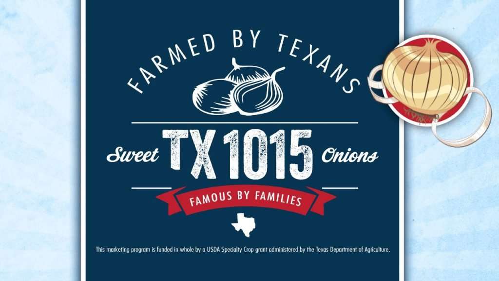 Sweet TX 1015 Onions logo on blue backdrop.