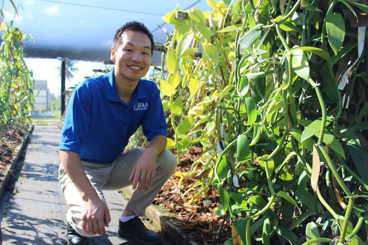 Xingbo Wu, Plant Breeder and Geneticist, UF/IFAS Tropical Research Education Center