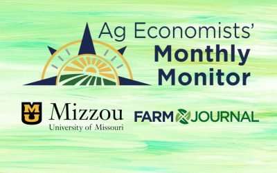 Expert Comment Q&A: Economists Forecast Positive End-Of-Year Crop Outlook Despite Warmer Midwestern Climate