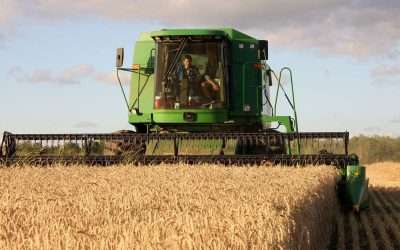 US Wheat Growers Seize Profit Opportunity Amid Global Supply Challenges