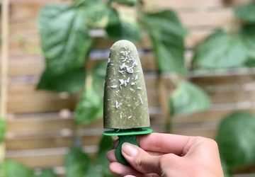 Super Greens Superfood Pops- Nestles Naturals