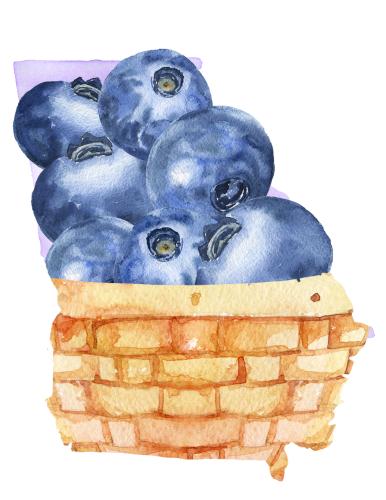 Blueberries in a basket. 