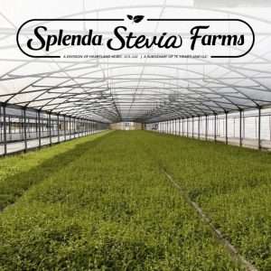 Greenhouse with Splenda Stevia Farm logo.