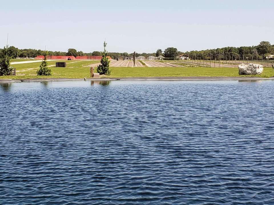 Small lake on Splenda's Stevia farm with crops growing in the distance. 