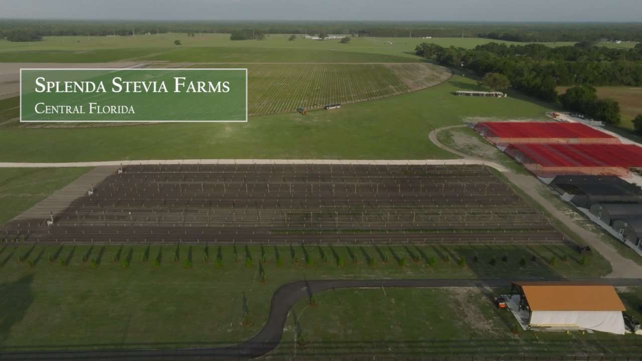 Aerial view of Splenda Stevia farm in Lake Panasoffkee, FL.