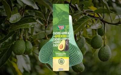 Westfalia Fruit USA To Unveil Zero-Plastic Avocado Packaging At Southern Innovations