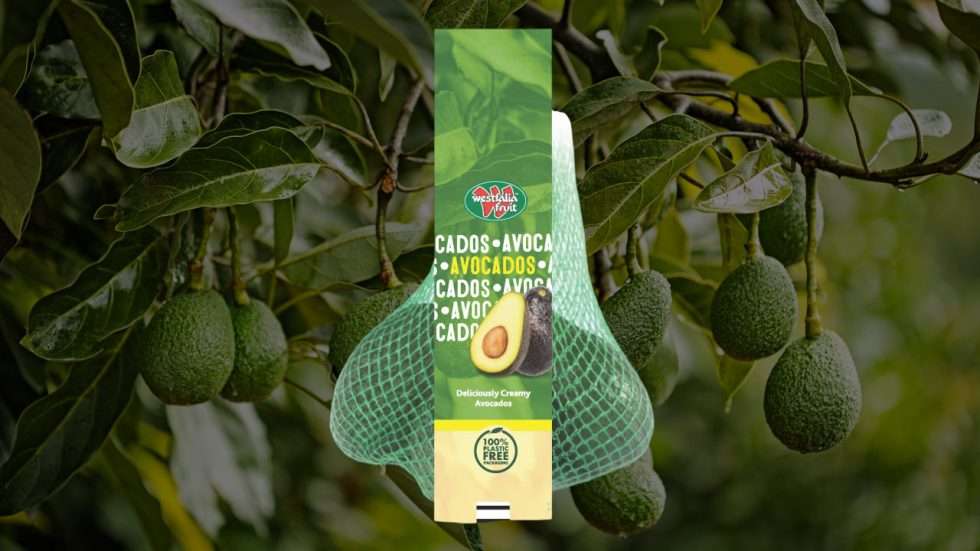 Westfalia Fruit USA To Unveil ZeroPlastic Avocado Packaging At