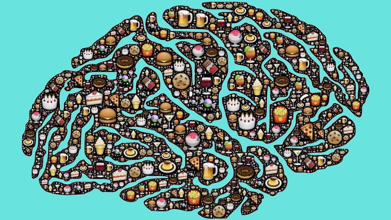 Image of brain made with images of junk/addictive foods and drinks.